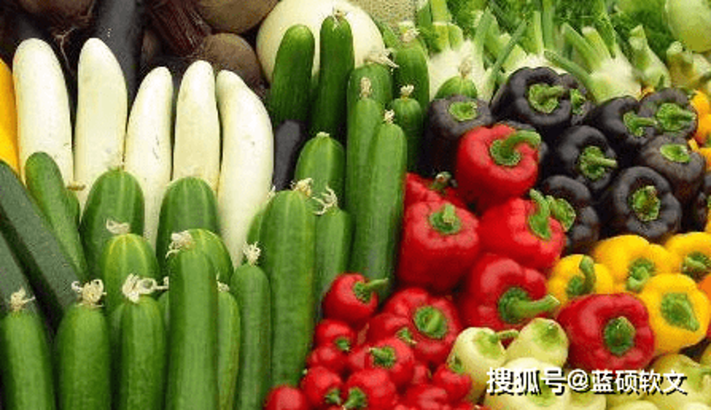 湖南农业公司的蓬勃生机